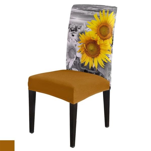chair covers sunflower local color park printed cover for dining room table chairs kitchen tablecloth home decor
chair covers sunflower local color park printed cover for dining room table chairs kitchen tablecloth home decor