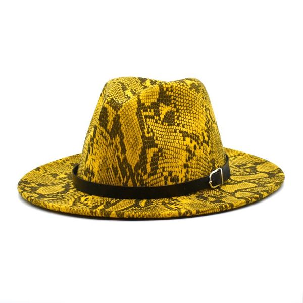 the retro men's wool snake pattern hat woolen travel back jazz elegant ladies f17 wide brim hats, Blue;gray
the retro men's wool snake pattern hat woolen travel back jazz elegant ladies f17 wide brim hats, Blue;gray