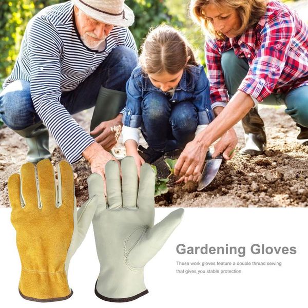 genuine leather protective gloves working garden work breathable sweatabsorbent comfortable disposable
genuine leather protective gloves working garden work breathable sweatabsorbent comfortable disposable