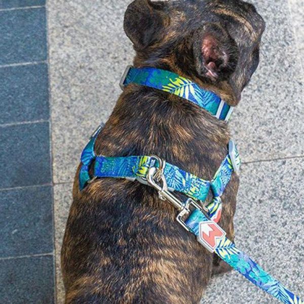 cat dog collar harness leash adjustable nylon pet traction quick release belt collars & leashes
cat dog collar harness leash adjustable nylon pet traction quick release belt collars & leashes