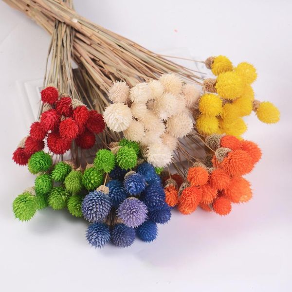 15pcs/lot colorful natural dried flower bouquet strawberries diy handmade handicraft artificial festival home decor props decorative flowers
15pcs/lot colorful natural dried flower bouquet strawberries diy handmade handicraft artificial festival home decor props decorative flowers