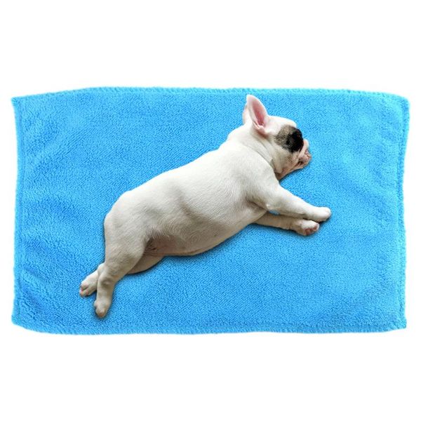 kennels & pens washable pet dog blanket soft fluffy cat cushion winter warm cats cover for small medium dogs bed mat
kennels & pens washable pet dog blanket soft fluffy cat cushion winter warm cats cover for small medium dogs bed mat