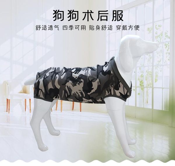dog apparel after sterilization prevent licking the clothes clothing weaning wound protection belly pet
dog apparel after sterilization prevent licking the clothes clothing weaning wound protection belly pet