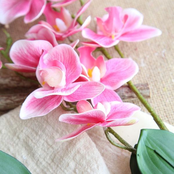 real touch plastic orchid branch artificial flowers fake butterfly for home wedding decoration flores artificiais decorative & wreaths
real touch plastic orchid branch artificial flowers fake butterfly for home wedding decoration flores artificiais decorative & wreaths