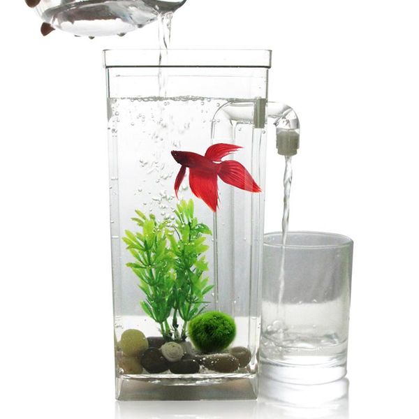 aquariums quail 9 inch aquarium,fish tank,plastic,tablefish tank,self-cleaning
aquariums quail 9 inch aquarium,fish tank,plastic,tablefish tank,self-cleaning