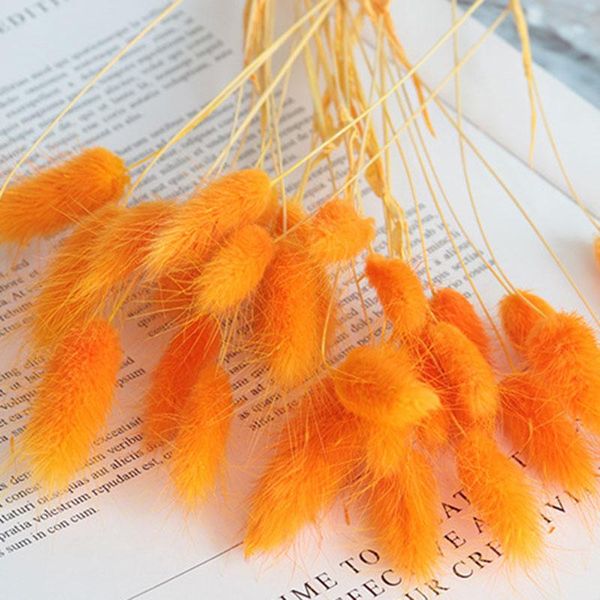 'the ' dried flower bouquet artificial lagurus ovatus decoration for home el wedding 889 decorative flowers & wreaths
'the ' dried flower bouquet artificial lagurus ovatus decoration for home el wedding 889 decorative flowers & wreaths