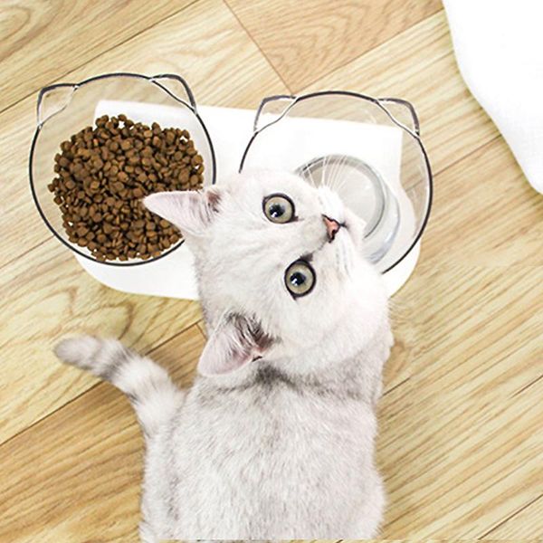 cat bowls & feeders non-toxic bowl with stand white elevated dog water detachable pet feeding container 2
cat bowls & feeders non-toxic bowl with stand white elevated dog water detachable pet feeding container 2