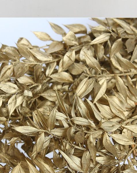 decorative flowers & wreaths immortal flower material gold silver willow leaf yongsheng salix
decorative flowers & wreaths immortal flower material gold silver willow leaf yongsheng salix