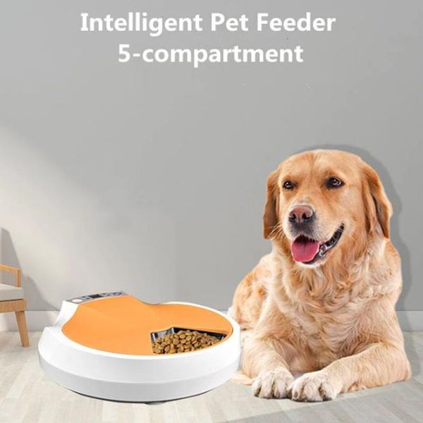 automatic pet feeder auto dry dispenser dog feeding container cat bowl supplies accessories products for puppy animals bowls & feeders
automatic pet feeder auto dry dispenser dog feeding container cat bowl supplies accessories products for puppy animals bowls & feeders