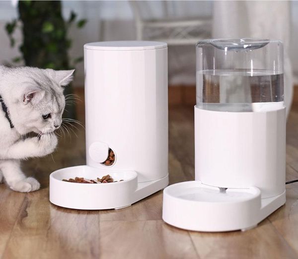 cat bowl water fountain seringue plastique automatic pet feeder ciotola gatto drink dispenser qjj60zdws bowls & feeders 
cat bowl water fountain seringue plastique automatic pet feeder ciotola gatto drink dispenser qjj60zdws bowls & feeders