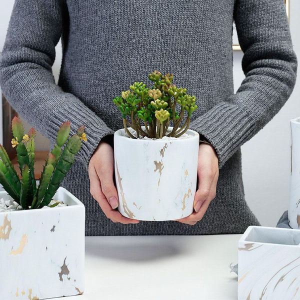 planters & pots nordic ins marble pattern ceramics flower pot bonsai deskplanter ornament home office decoration succulent flowerpots cr
planters & pots nordic ins marble pattern ceramics flower pot bonsai deskplanter ornament home office decoration succulent flowerpots cr