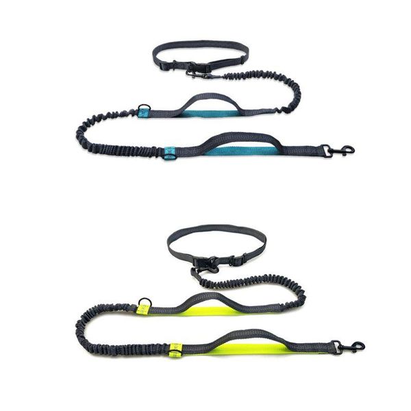 dog collars & leashes multi-function running reflective pull leash double elastic d-ring pet traction rope
dog collars & leashes multi-function running reflective pull leash double elastic d-ring pet traction rope