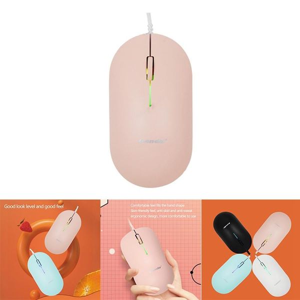 mice banda b700 computer mouse, non-slip and sweat-proof portable usb ergonomic wired mouse for pc laptop
mice banda b700 computer mouse, non-slip and sweat-proof portable usb ergonomic wired mouse for pc laptop