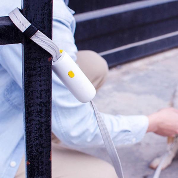 dog collars & leashes elastic reflective safety rope tenacity traction leash running walk train for large small pets pet supplies
dog collars & leashes elastic reflective safety rope tenacity traction leash running walk train for large small pets pet supplies