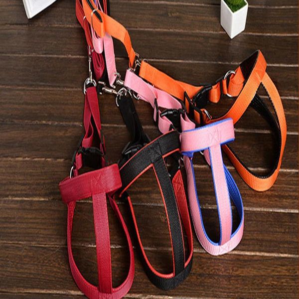 dog collars & leashes petfangfang 2021 selling fashion high-end pet leash traction rope harness puppy and big collar
dog collars & leashes petfangfang 2021 selling fashion high-end pet leash traction rope harness puppy and big collar