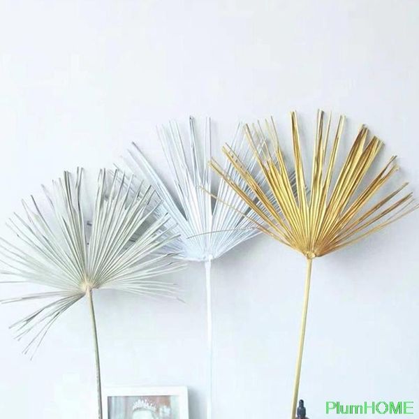 decorative flowers & wreaths 1pc 40~55cm palm fan leaf dried flower window reception party art wall hanging decoration wedding arch arrangem
decorative flowers & wreaths 1pc 40~55cm palm fan leaf dried flower window reception party art wall hanging decoration wedding arch arrangem
