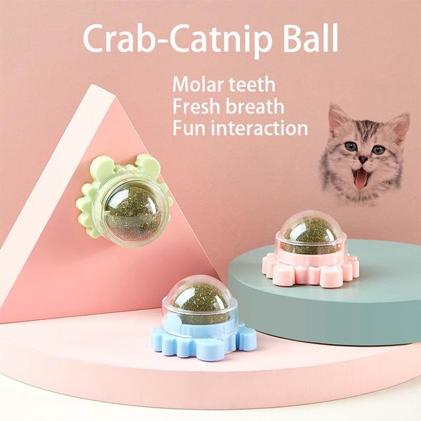 cat toys smart toy interactive ball catnip cats accessories training spinning molar teeth cleaning happy play pets supplies 
cat toys smart toy interactive ball catnip cats accessories training spinning molar teeth cleaning happy play pets supplies