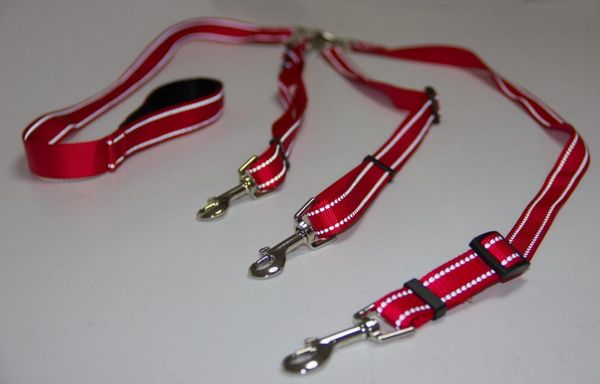 dog collars & leashes pet supply hand holding rope 1 drag 3-reflective multi-color 3 headband-dismantling one-piece
dog collars & leashes pet supply hand holding rope 1 drag 3-reflective multi-color 3 headband-dismantling one-piece
