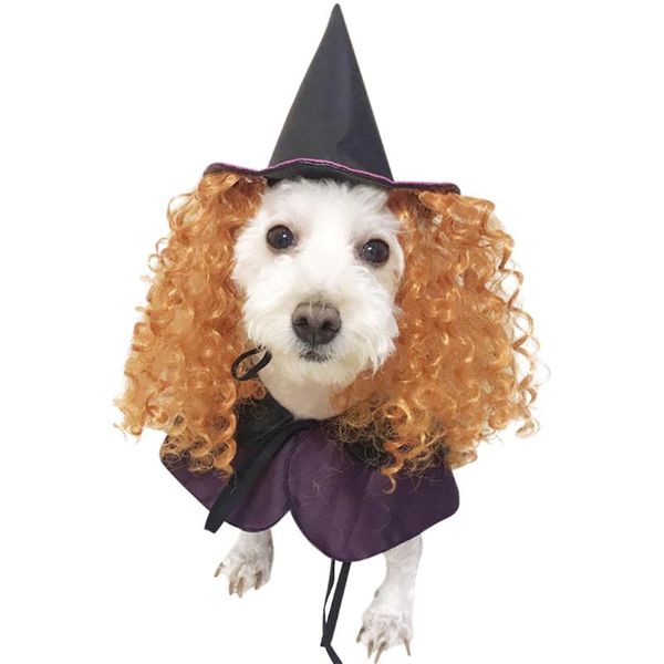 dog apparel 2021 design costumes halloween purple wizard funny clothes with curly hair hat cosplay costume for pet gift
dog apparel 2021 design costumes halloween purple wizard funny clothes with curly hair hat cosplay costume for pet gift