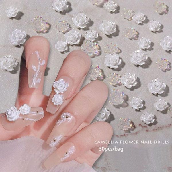 nail art decorations 4 bags glitter stones aurora/white diy 3d camellia resin, Silver;gold
nail art decorations 4 bags glitter stones aurora/white diy 3d camellia resin, Silver;gold