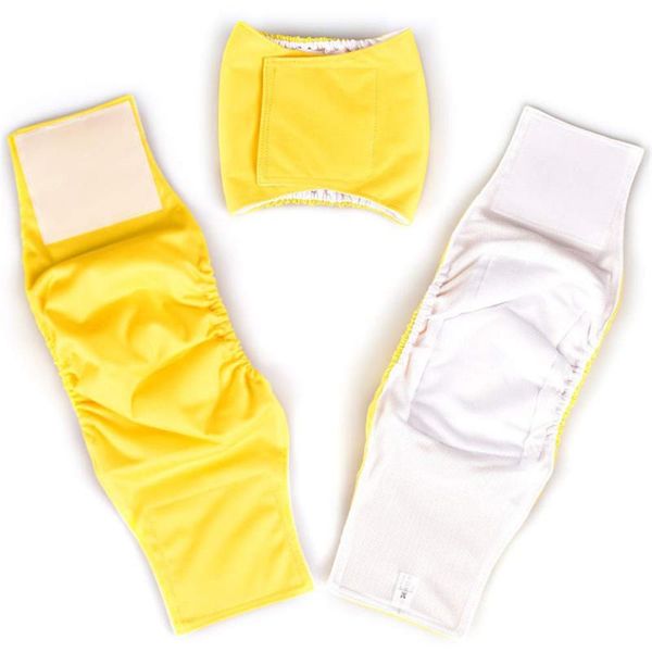dog apparel female puppy shorts panties diaper washable pets physiological pants pet menstruation underwear briefs for dogs
dog apparel female puppy shorts panties diaper washable pets physiological pants pet menstruation underwear briefs for dogs