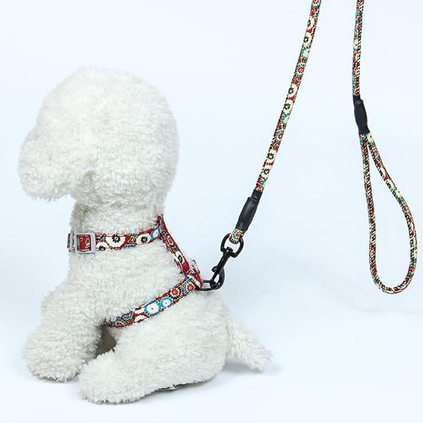 dog collars & leashes cat traction rope small and breathable vest type chest strap plaid korean fashion pet supplies teddy chihuahua
dog collars & leashes cat traction rope small and breathable vest type chest strap plaid korean fashion pet supplies teddy chihuahua