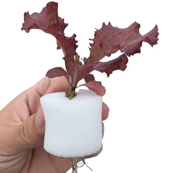 planters & pots nursery 50pcs slotted mesh soilless culture vegetable net cups basket cylinders sponge hydroponic system
planters & pots nursery 50pcs slotted mesh soilless culture vegetable net cups basket cylinders sponge hydroponic system