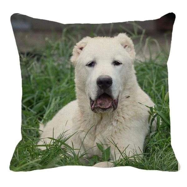 45cmx45m cute pet dog central asian pattern linen decoration pillowcase cushion cover sofa waist pc008 cushion/decorative pillow
45cmx45m cute pet dog central asian pattern linen decoration pillowcase cushion cover sofa waist pc008 cushion/decorative pillow