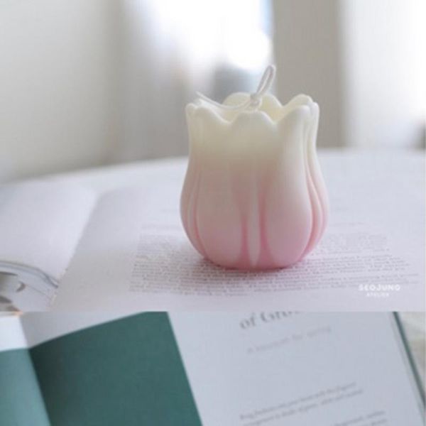 tulip candle mould soap mold 3d flower silicone molds soy wax handmade making mother's day craft tools
tulip candle mould soap mold 3d flower silicone molds soy wax handmade making mother's day craft tools
