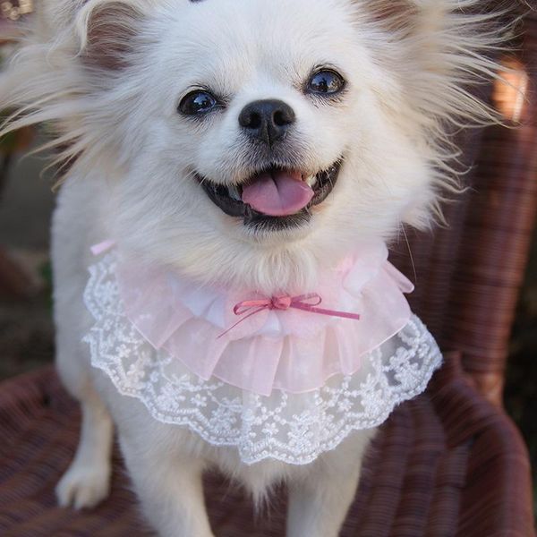 dog bandana cat bib saliva cute collar dress designed triangular bandanas with bowknot necklace puppy girl costume decor wedding apparel
dog bandana cat bib saliva cute collar dress designed triangular bandanas with bowknot necklace puppy girl costume decor wedding apparel