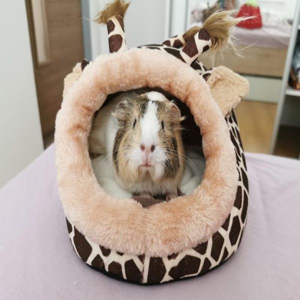 dog apparel squirrel bed nest hamster house cage accessories for good sleep comfortable guinea pigs chinchilla
dog apparel squirrel bed nest hamster house cage accessories for good sleep comfortable guinea pigs chinchilla