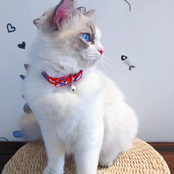 cat collars & leads dog collar with bell adjustable easy wear buckle puppy chihuahua small
cat collars & leads dog collar with bell adjustable easy wear buckle puppy chihuahua small