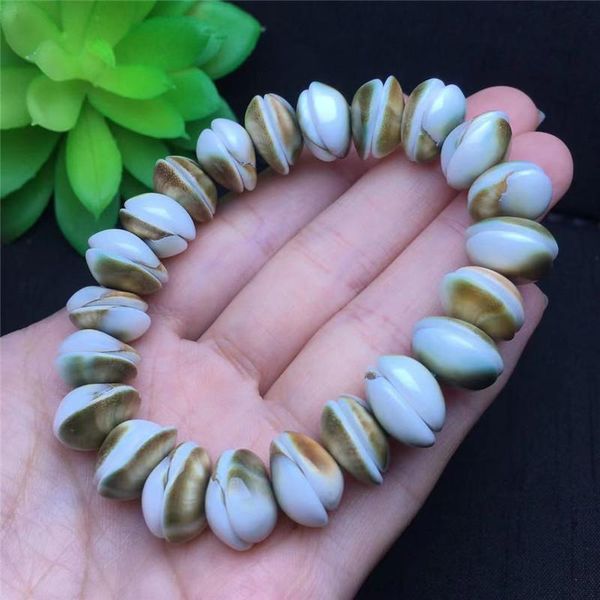 beaded, strands product gem snail bracelet hand-carved shell 13mm for woman jewelry, Black
beaded, strands product gem snail bracelet hand-carved shell 13mm for woman jewelry, Black