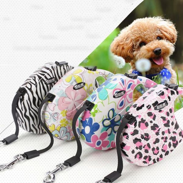 dog collars & leashes 5m colorful retractable leash extending puppy walking leads pet running hands y great for
dog collars & leashes 5m colorful retractable leash extending puppy walking leads pet running hands y great for