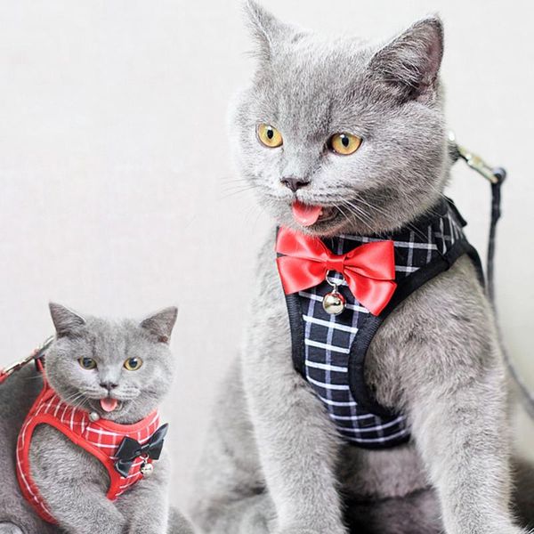 dog collars & leashes harness leash small chest for walking the and cat rope set personality back traction
dog collars & leashes harness leash small chest for walking the and cat rope set personality back traction