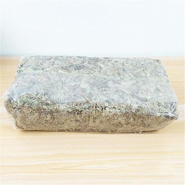 water moss dry grass substrates for orchid phalaenopsis decorative flowers & wreaths
water moss dry grass substrates for orchid phalaenopsis decorative flowers & wreaths