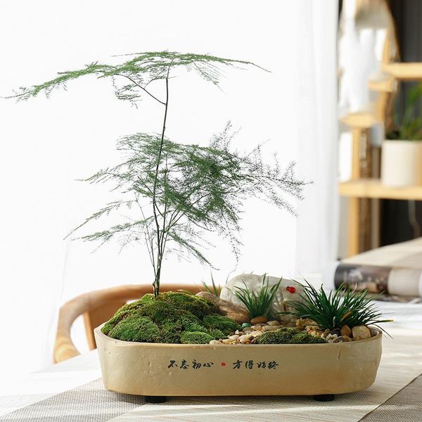 planters & pots succulent creative narcissus green radish copper money grass hydroponic flower pot text section ceramic rectangular
planters & pots succulent creative narcissus green radish copper money grass hydroponic flower pot text section ceramic rectangular