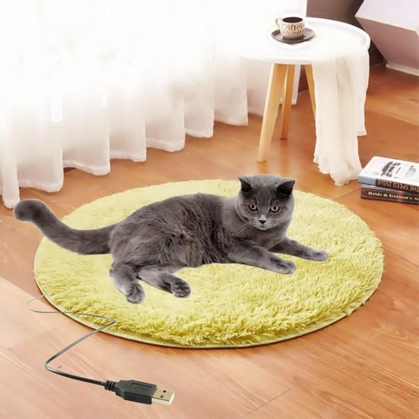 pet electric blanket plush pad cat heated anti-scratch dog heating mat sleeping bed for small beds & furniture
pet electric blanket plush pad cat heated anti-scratch dog heating mat sleeping bed for small beds & furniture