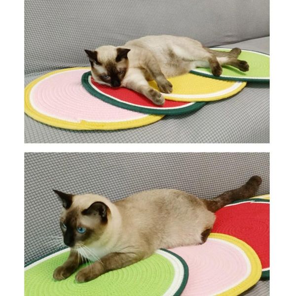 cat beds & furniture pet natural cotton scratch and abrasion resistance pad sleep cushion toy
cat beds & furniture pet natural cotton scratch and abrasion resistance pad sleep cushion toy