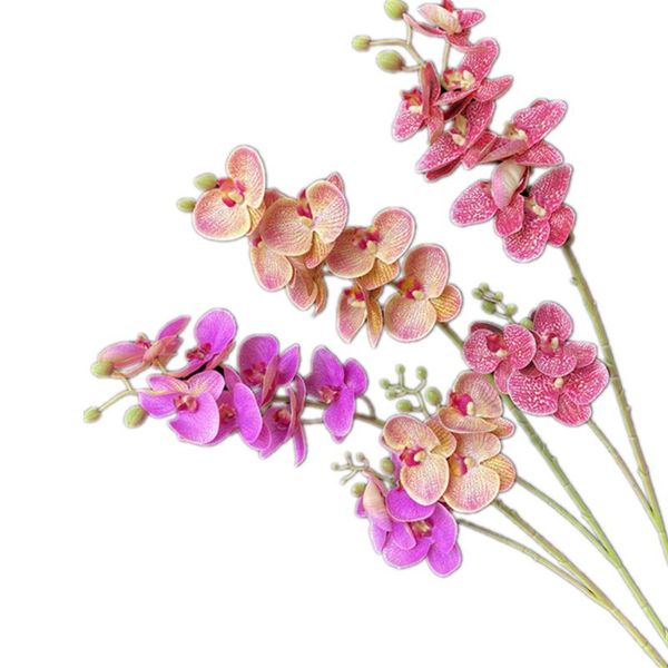 decorative flowers & wreaths 5p artificial butterfly orchids flower stems real touch 10 heads phalaenopsis for wedding centerpieces floral d
decorative flowers & wreaths 5p artificial butterfly orchids flower stems real touch 10 heads phalaenopsis for wedding centerpieces floral d