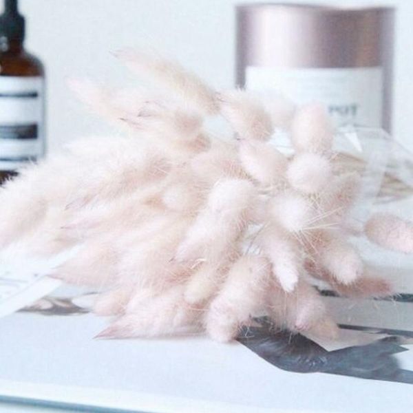 decorative flowers & wreaths 30pcs dry tails grass ,dried natural rabbittail bouquet,diy hare's tail flower for home decor,wedding pas
decorative flowers & wreaths 30pcs dry tails grass ,dried natural rabbittail bouquet,diy hare's tail flower for home decor,wedding pas