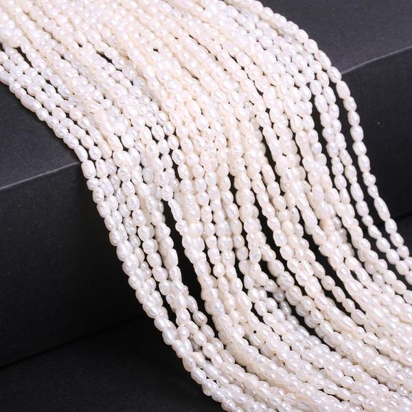 other natural pearl loose beads rice shape cultured freshwater white beading charms for jewelry making necklace bracelet 2-2.5mm
other natural pearl loose beads rice shape cultured freshwater white beading charms for jewelry making necklace bracelet 2-2.5mm