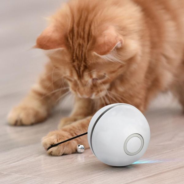 smart cat toys interactive ball usb rechargeable led light toy funny pets playing motion activated pet balls
smart cat toys interactive ball usb rechargeable led light toy funny pets playing motion activated pet balls