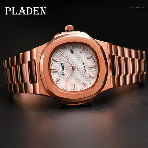 wristwatches pladen sapphire glass dive watch male reloj hombre men quartz wristwatch stainless steel swimming, Slivery;brown
wristwatches pladen sapphire glass dive watch male reloj hombre men quartz wristwatch stainless steel swimming, Slivery;brown