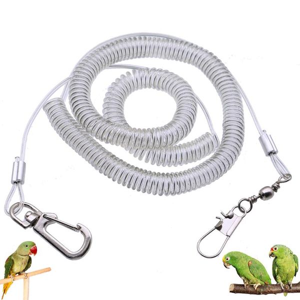 other bird supplies 16.4ft elasticity transparent leash anti-bite training rope parrot flying pet flight toys
other bird supplies 16.4ft elasticity transparent leash anti-bite training rope parrot flying pet flight toys