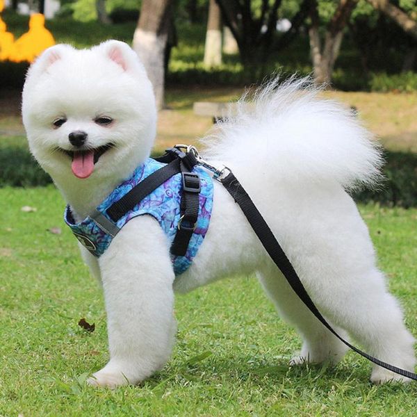 dog collars & leashes pet vest type traction rope polyester, mesh adjustable breathable puppy vests reflective harness cute cat chest strap
dog collars & leashes pet vest type traction rope polyester, mesh adjustable breathable puppy vests reflective harness cute cat chest strap
