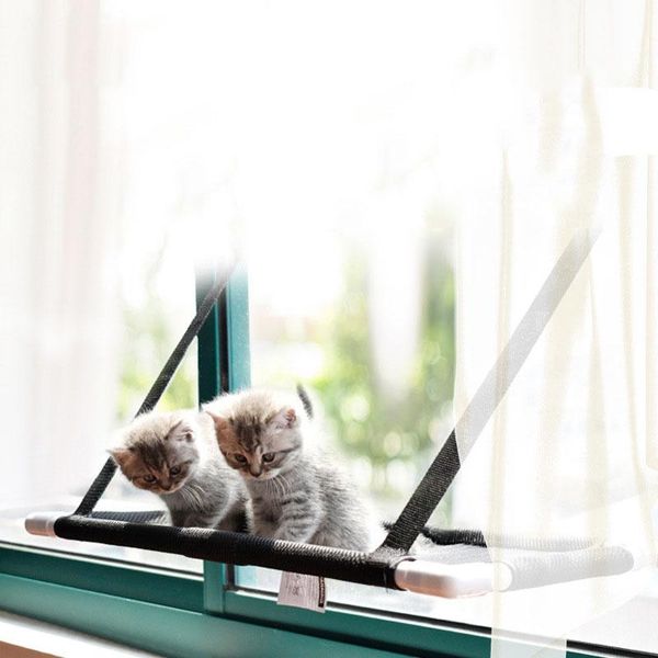 cat beds & furniture cats hanging mounted seat home pet hammock mount window bed cute suction cup lounge kitten accessories supplies
cat beds & furniture cats hanging mounted seat home pet hammock mount window bed cute suction cup lounge kitten accessories supplies