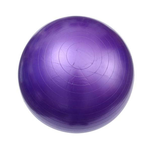 yoga balls pvc thickened explosion proof fitness smooth pilates durable workouts supply (purple 55cm 600g)
yoga balls pvc thickened explosion proof fitness smooth pilates durable workouts supply (purple 55cm 600g)