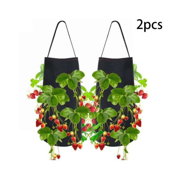 planters & pots hanging strawberry planting felt cloth container bag garden pot plant grow 11 holes with strap handles
planters & pots hanging strawberry planting felt cloth container bag garden pot plant grow 11 holes with strap handles