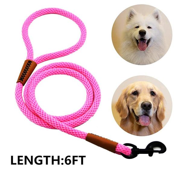 dog leash braided nylon rope leashs durable strong lead heavy duty metal sturdy clasp 6 feet 1/2 inch dogs accessories collars & leashes
dog leash braided nylon rope leashs durable strong lead heavy duty metal sturdy clasp 6 feet 1/2 inch dogs accessories collars & leashes